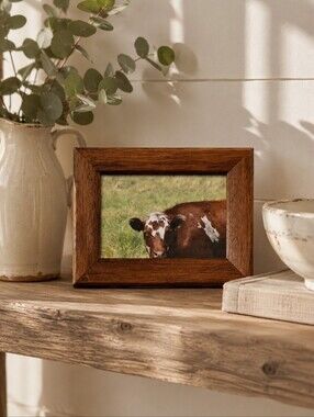 Original Cow Photograph Framed Rustic Farmhouse Wall Art 5x7 New Brunswick